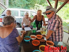 XVII. falunap Pacséron - Az akácosban délelőtt