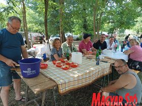 XVII. falunap Pacséron - Az akácosban délelőtt