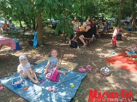 XVII. falunap Pacséron - Az akácosban délelőtt