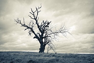 pixabay.com