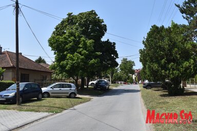 Lifka Sándor nevét Szabadkán egy kisradanováci utca viseli / Patyi Szilárd felvétele
