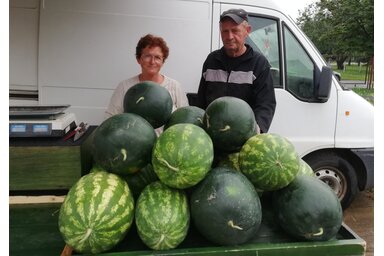 A topolyai piacon ismert és keresett a budiszavai dinnye (Tóth Péter felvétele)