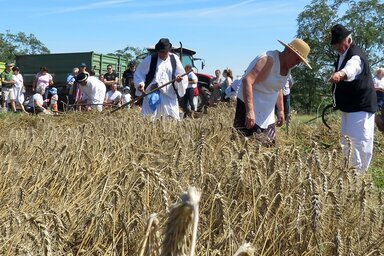 Kecskés István felvétele
