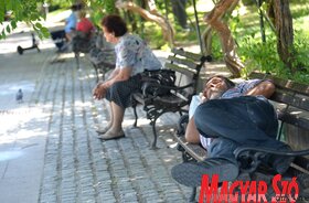 Kánikula meleg nyár Újvidék
