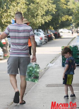 Kánikula meleg nyár Újvidék