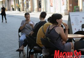 Kánikula meleg nyár Újvidék