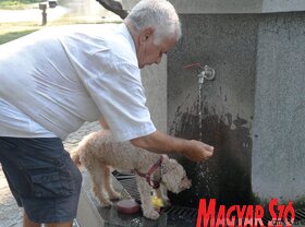Kánikula meleg nyár Újvidék