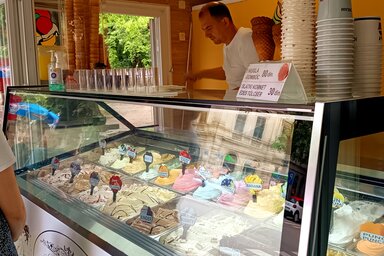 Gruik Zsizsa felvétele