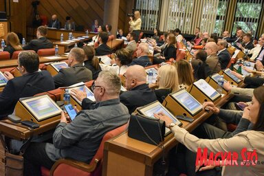 Az újvidéki városi képviselők pénteken szavaz Đurić felmentésének javaslatáról (Ótos András felvétele)
