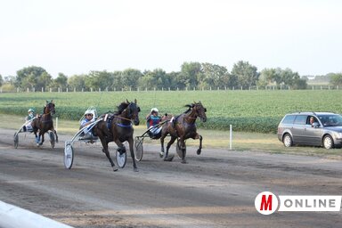 Tekila (a képen a középső) fél testhosszúsággal (1:16,3 idővel) előbb ért célba, mint riválisai (Fotó: Paraczky László)