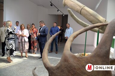 Tartományi Természetvédelmi Intézet