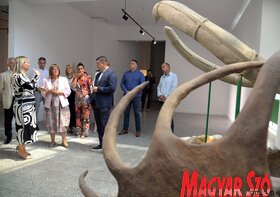 Tartományi Természetvédelmi Intézet
