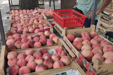 Lengyel Emma felvétele