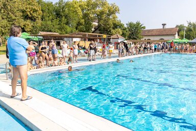 A program célja, hogy a gyermekek minél előbb és minél jobban elsajátítsák az úszást (Fotó: Óbecse község oldala/Facebook)