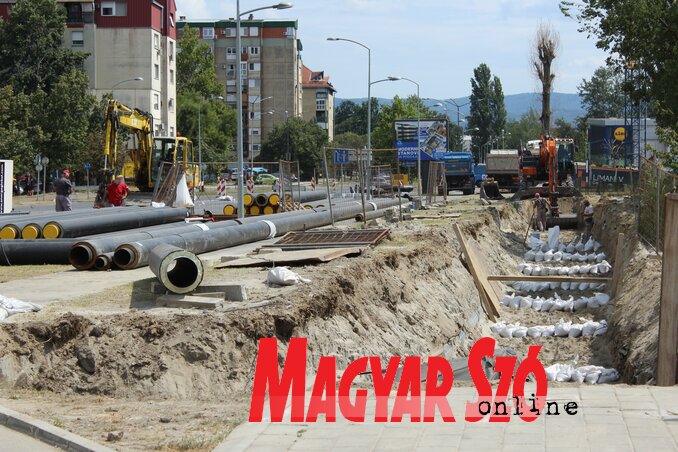 Bojana Vojnić felvétele Bojana Vojnić felvétele