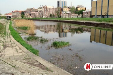 Szennyvíztisztítóra várva (Fotó: Kecskés István)