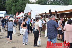 Bálványosi Szabadegyetem és Diáktábor második napja