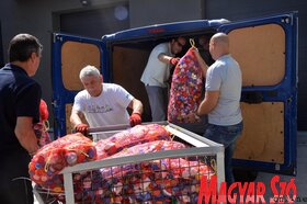 Kupakgyűjtés a fogyatékkal élőkért