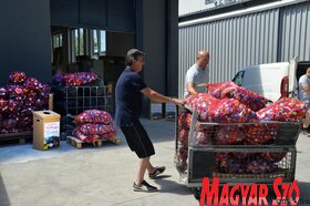 Kupakgyűjtés a fogyatékkal élőkért