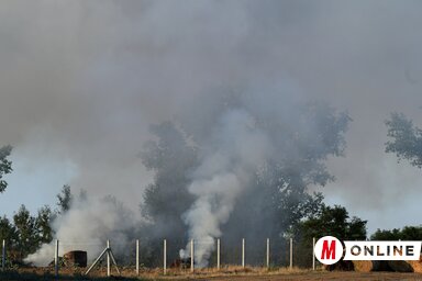 Gergely József felvétele