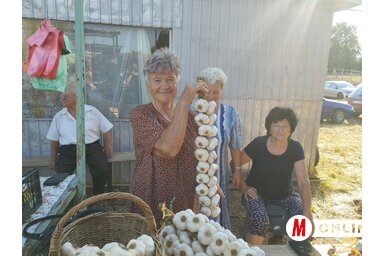 Nagy Torma Mária: fokhagymát mindenkinek! (Lukács Melinda felvétele)
