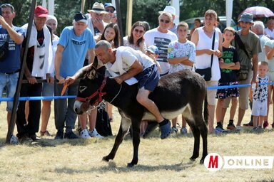 Pillanatkép a tavalyi szamárversenyről / Benedek Miklós archív