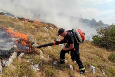 Az aljnövényzet ég a nehezen megközelíthető, sziklás területen (Fotó:Beta)