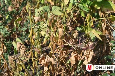 Ótos András felvétele