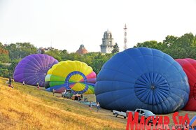 Zenta város napja 2024