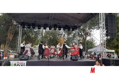 Az óbecsei Petőfi Sándor Magyar Kultúrkör Csicsóka táncegyüttese is fellépett a művelődési műsor folyamán (Kancsár Izabella felvétele)