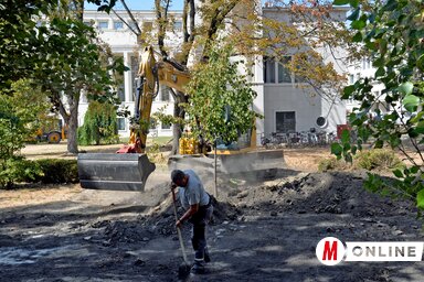 Dávid Csilla felvétele