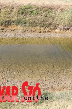 A kiszáradt meder még mindig cserepes, noha már van benne kevés víz (Lakatos János felvétele) A kiszáradt meder még mindig cserepes, noha már van benne kevés víz (Lakatos János felvétele)