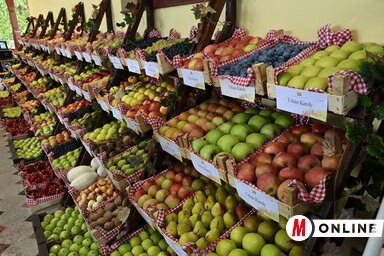 A szüreti napokat gazdag terménykiállítás kísérte (Fotó: Molnár Edvárd felvétele)