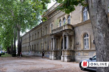 Az egykoron impozáns újvidéki Futaki úti kaszárnya omladozó, repedező épületének erkélyén egy fa is kinőtt (Dávid Csilla felvétele)