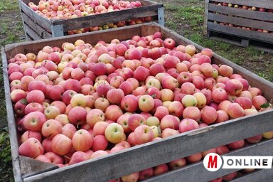 (Fotó: Paraczky László)