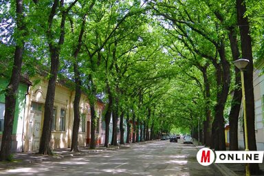 A Drapšin tábornok utca (Fotó: Vidács Hajnalka)