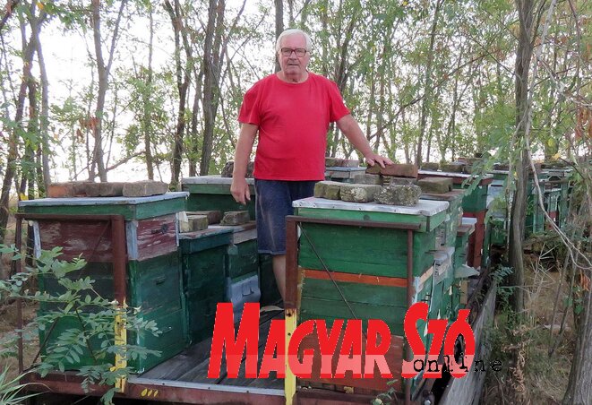A muzslai réten (Kecskés István felvétele) A muzslai réten (Kecskés István felvétele)