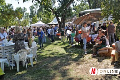 Dávid Csilla felvétele