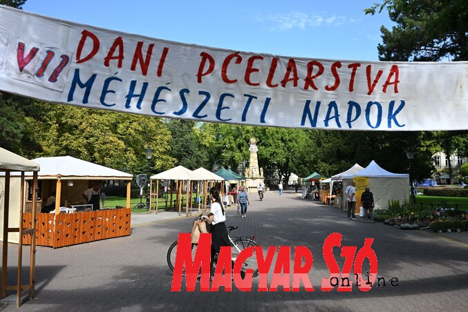 Molnár Edvárd felvétele Molnár Edvárd felvétele