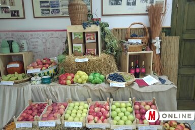 Bajić Jenei Klementina felvétele