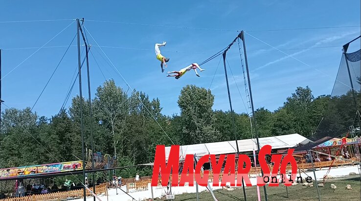 Magyarországon csak a nagykőrösi szafariparkban tekinthető meg szabadtéri lengőtrapéz bemutató is (Horváth Zsolt felvétele) Magyarországon csak a nagykőrösi szafariparkban tekinthető meg szabadtéri lengőtrapéz bemutató is (Horváth Zsolt felvétele)