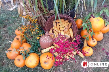 Fúró Dénes felvétele