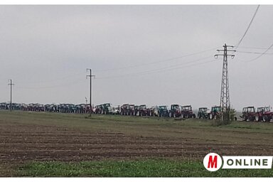 Piros és Újvidék között is többen felsorakoztak