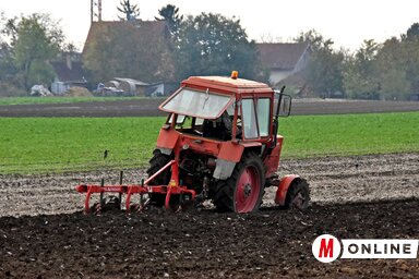 Későn jött a csapadék a földekre (Gergely Árpád felvétele)