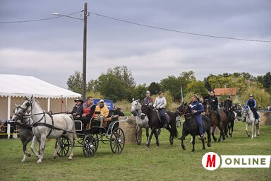 A találkozó főszereplői: a lovasok és lovaik (Fotó: Molnár Edvárd felvétele)