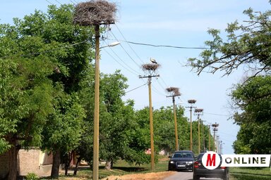 Dávid Csilla felvétele