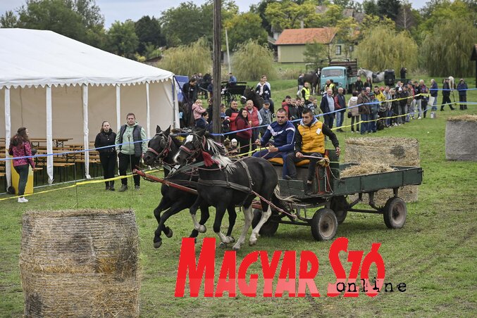 Izgalmas pillanatok (Molnár Edvárd felvétele) Izgalmas pillanatok (Molnár Edvárd felvétele)