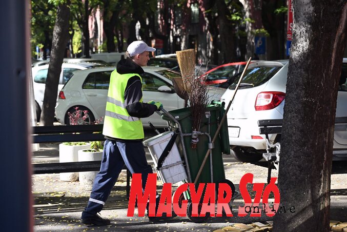 U razvijenim zapadnim zemljama veći deo otpada se reciklira, ali naša zemlja se tek uhodava na ovom putu (fotografija Mikloša Benedeka) U razvijenim zapadnim zemljama veći deo otpada se reciklira, ali naša zemlja se tek uhodava na ovom putu (fotografija Mikloša Benedeka)
