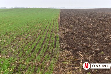 Molnár Edvárd archív felvétele