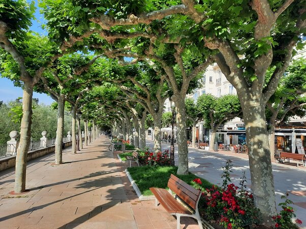 A Paseo del Espolón sétány A Paseo del Espolón sétány